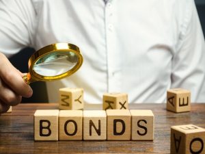 Plain Vanilla Bonds Explained: Everything You Need to Know